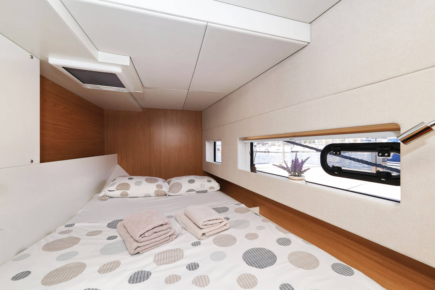 Bali Catsmart  | Arpina