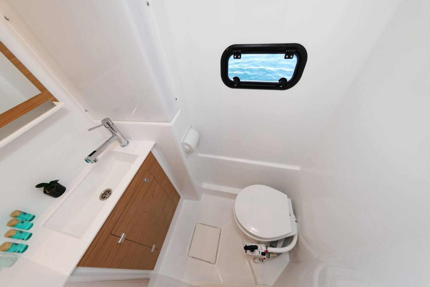 Bali Catspace  | Rolling Stone